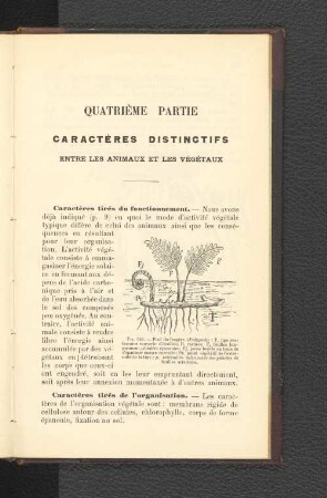 Quatriéme Partie Caractéres Distinctifs Entre les animaux et les végétaux