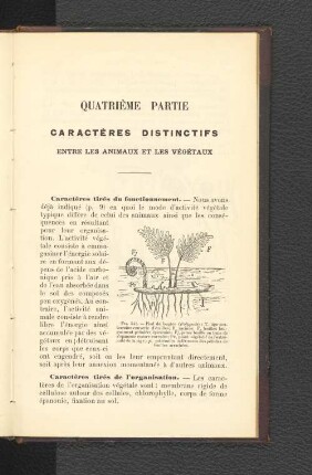 Quatriéme Partie Caractéres Distinctifs Entre les animaux et les végétaux