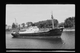 Adler (1950), Argo Reederei.- Argo Reederei Richard Adler & Söhne, Bremen