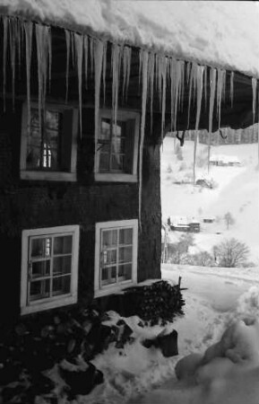 Todtnauberg: Eiszapfen an Bauernhaus