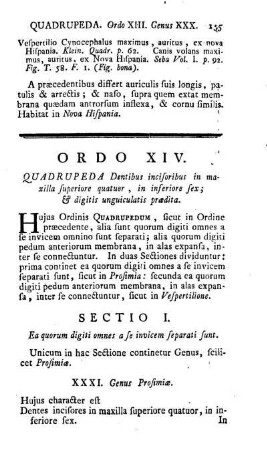 Ordo XIV. Quadrupeda Dentibus incisoribus in maxilla superiore quatuor, in inferiore sex; & digitis unguiculatis praedita