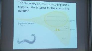 Epigenetics and ncRNAS: Open questions