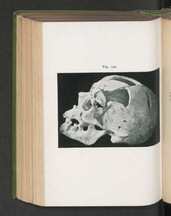 Fig. 140.