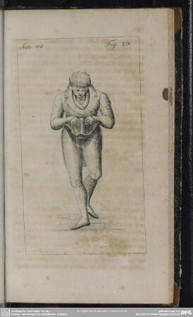 Seite 106. Fig. XIX