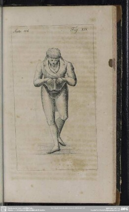 Seite 106. Fig. XIX
