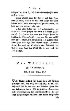 ¬Die¬ Narzisse : (Lat. Narcissus) ; Taf. IX, Gig. 43