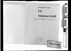 Staatsbeamte: Beamtengesetz (Revision der Dienstpragmatik)