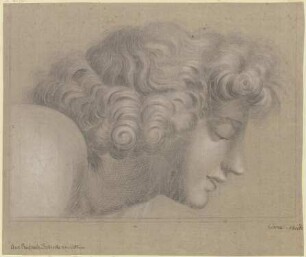 Kopf des Jünglings aus der Gruppe um Euklid oder Archimedes in Raffaels Schule von Athen