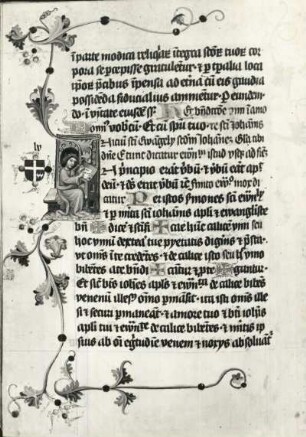 Pontificale des Bischofs Zbigniew Olesnicki