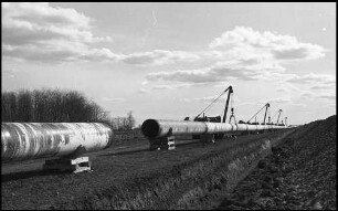 Niederlauterbach: Pipeline-Verlegung im Bienwald bei Niederlauterbach nach Karlsruhe