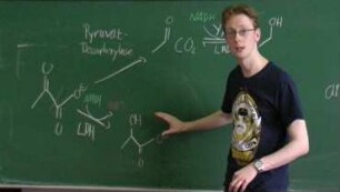 Die Chemie des Weines II: Destillation des Weines und anaerober Stoffwechsel