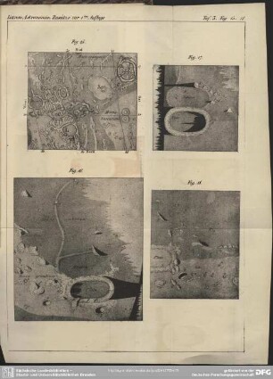 Taf. 3. Fig. 15-18