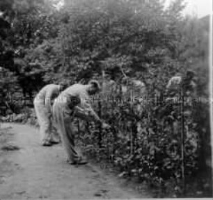 Verwundete im Lazarett bei der Gartenarbeit