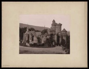 Die Löwenburg