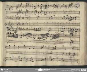 Cavatina: "Ogni Donna che al quanto in mira"