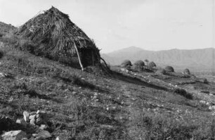 Strohhütten eines Bilen-Dorfes (Reise durch Italienisch-Ostafrika, Sept./Okt. 1937 – 3. Fahrt: Asmara - Keren und zurück)