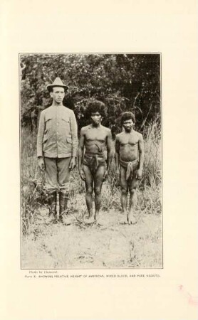 Plate X. Showing relative height of American, Mixed Blood,and pure Negrito