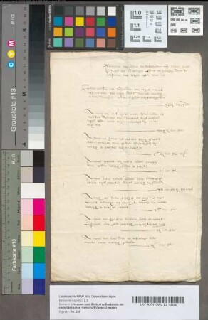 Opgaaf van goederen van Cornelis van Spangen, Ridder, gelegen onder Bergen-op-Zoom en daaromtrent, die later van den Heer van Spangen en Theodora van Haeften waren, volgens opschrift op den rug, 2e helft van de 16e eeuw.