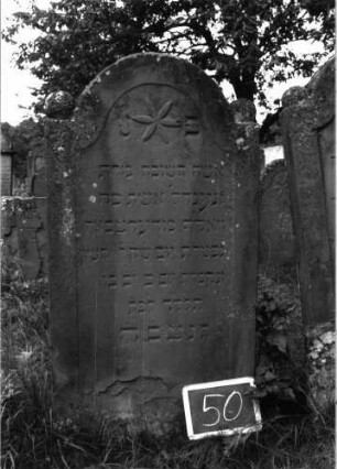 Grabstein 50 (Index: 100103627) Material: Sandstein Zustand: unten abblätternd, sonst gut erhalten Maße HxBxT: 139x69x11 cm Beschreibung: Stele, eingezogener Rundbogenabschluss, auf den Einzügen Kugelaufsätze, Schriftfeld eingetieft mit Konvexbogenabschluss, im Bogen Blüte Symbolik: Blüte: Grabstein 50