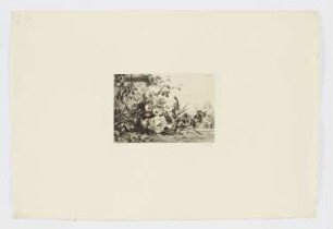 Iris und Rosen an einer Steinmauer, Blatt 3 der Folge "Blumenstudien und -kompositionen"