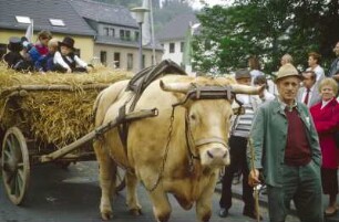 Heuwagen auf einem Ernteumzug