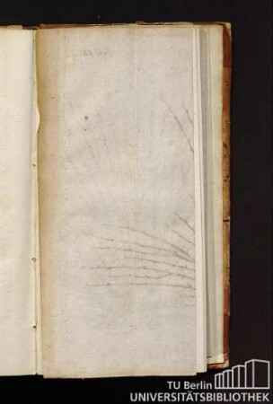 Taf. VII. A. St. Germain-Birnbaum.