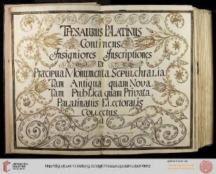 Band 1: Thesaurus Palatinus: Heidelberg und Mannheim