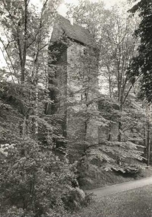 Stadtbefestigung mit Mauerturm (Pestturm)