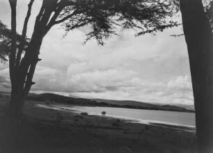 Der Naivashasee : Der Naivashasee nord-westlich von Nairobi