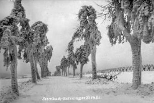 Satzunger Straße im Raureif