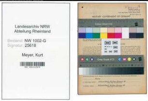 Entnazifizierung Kurt Meyer, geb. 17.04.1905 (Druckereibesitzer)