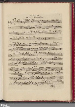Musical and Harmonic Illustration