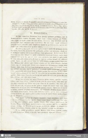 II. Mollusca