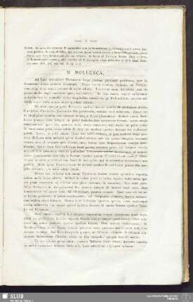 II. Mollusca
