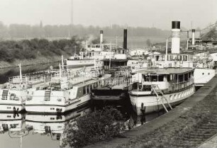 Winterhafen der VEB Fahrgastschifffahrt "Weiße Flotte" Dresden. Blick auf abgestellte Motorschiffe, Dampfer und Landungsbrücken; im Vordergrund Kaianlage des ehem. Verkehrshafens