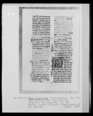 Blatt aus einem Brevier, Blatt c verso: Initiale P mit dem heiligen Andreas