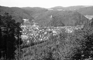 Waldkirch: Blick auf Waldkirch