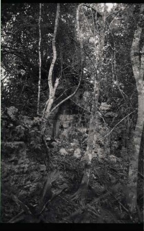 El Ramonal, Structure (RAL: Str.)