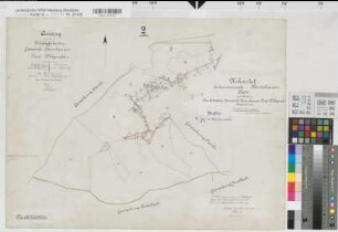 Bernshausen (Laasphe), Teilung der Feldmark Bernshausen, Urkarte 1 Flur 2 Waldblatt