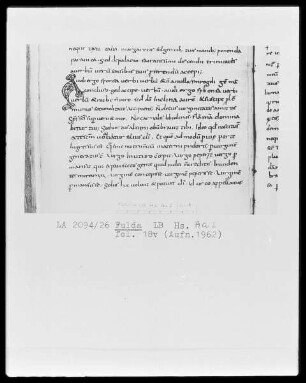 Isidor, Alkuin, Rhabanus Maurus und andere — Initiale A (udi ergo sponsa), Folio 18verso