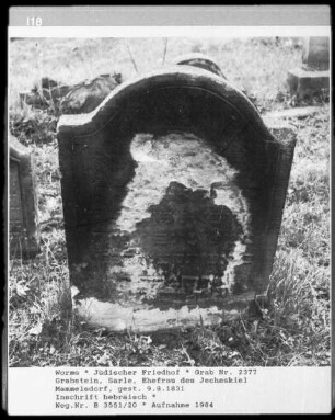 Grabstein von Sarle, Ehefrau des Jecheskiel Mammelsdorf (gestorben 1831.08.09)