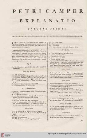 Explanatio tabulae