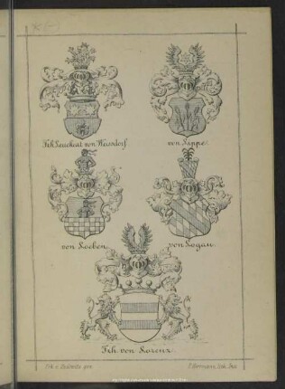 Sächsische Adelsfamilien und deren Wappen
