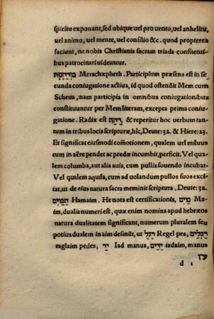 Prima quatuor capita Geneseos hebraice : cum versione Germanica e regione, hebraicis tamen characteribus exarata ...