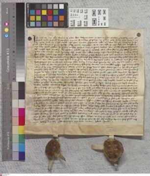 Klein-Welzheim: Theodorici abbatis et conventus in Selgenstadt recognitio, quod Conradus thesaurasius ecclesiae praedictae redditus cujusdam pensi...