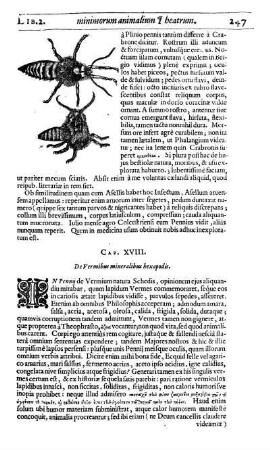 Cap. XVIII. De Vermibus mineralibus hexapodis