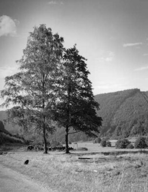 Berglandschaft