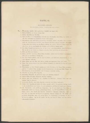 Tafel 83. - Kleineres Geräth.