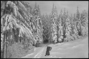 Altenberg. Winteraufnahme