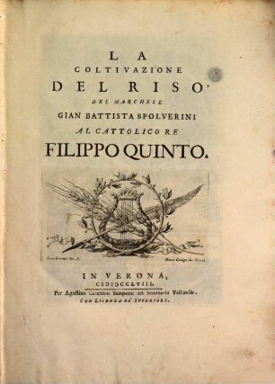 La coltivazione del riso
